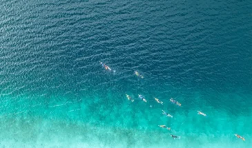 Aerial photo of swimmers at K'gari Fraser Island Australia