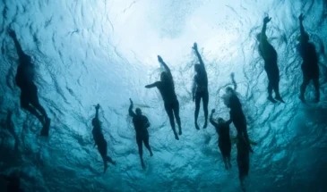 Photo taken looking up at a group of swimmers in the water at K'gari Fraser Island